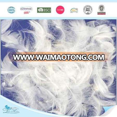 Pillow Filling Material Goose Down Feathers Wholesale